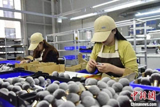 真有“两把刷子”！麻将胡了app沧州(图11)